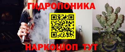 трава Лесосибирск