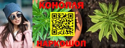 трава Лесосибирск
