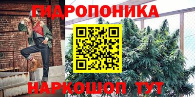 трава Лесосибирск