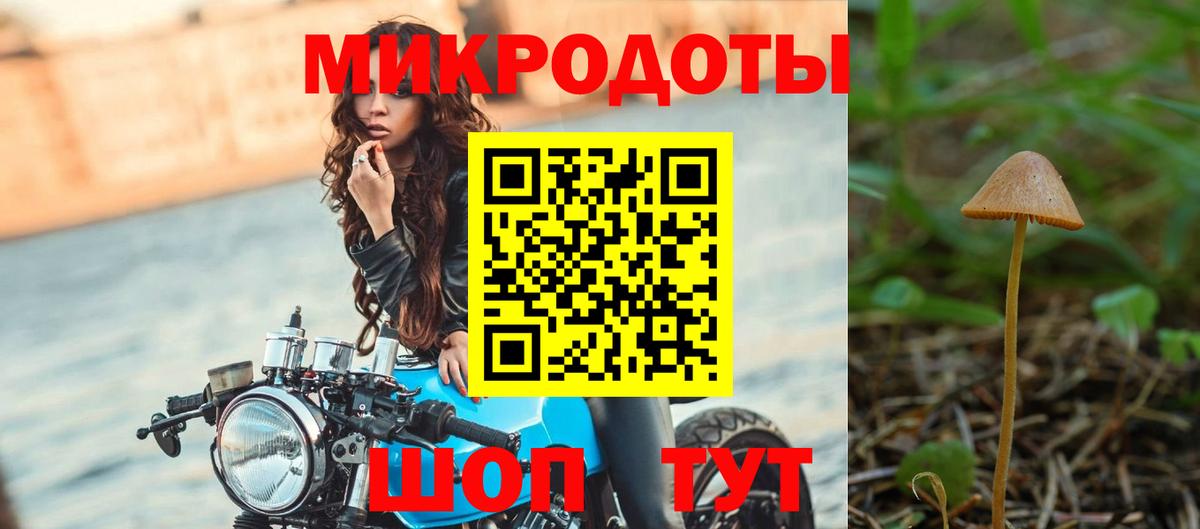 Галлюциногенные грибы Psilocybe  Вход с VPN  Галлюциногенные грибы MAGIC MUSHROOMS  Вышний Волочёк 